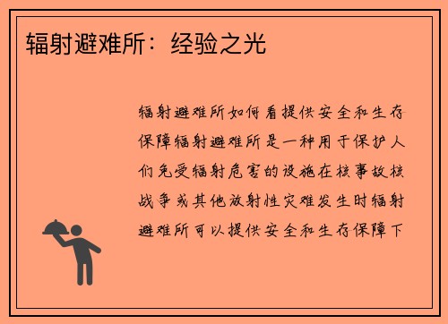 辐射避难所：经验之光